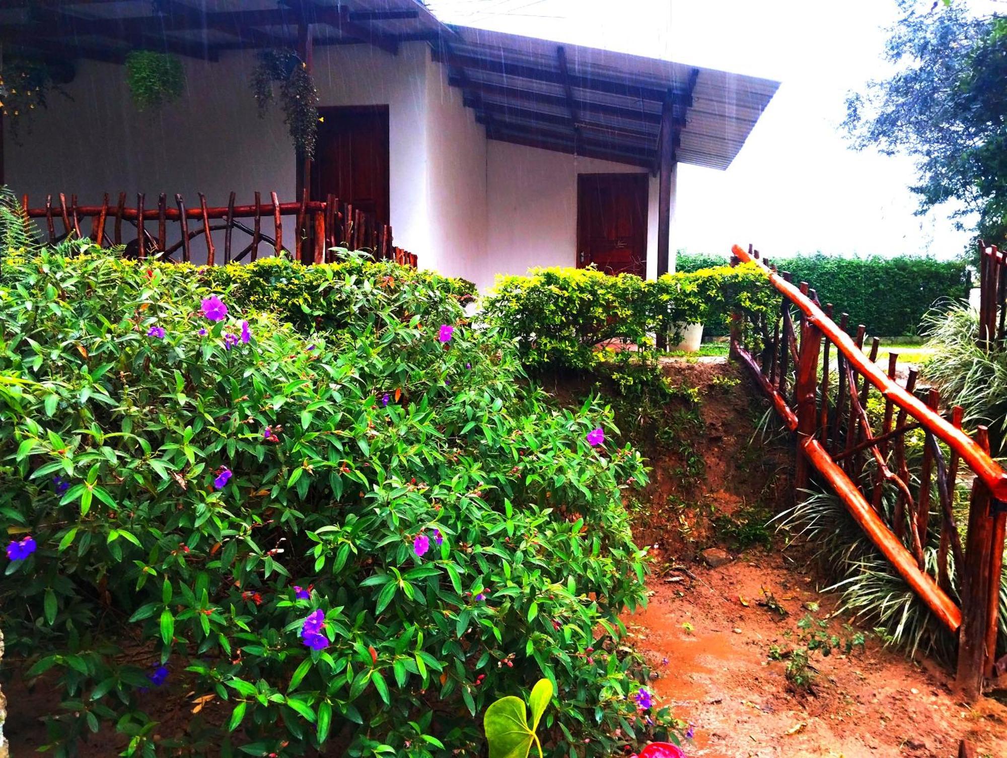 Ella Hotel Upper Hill Buitenkant foto