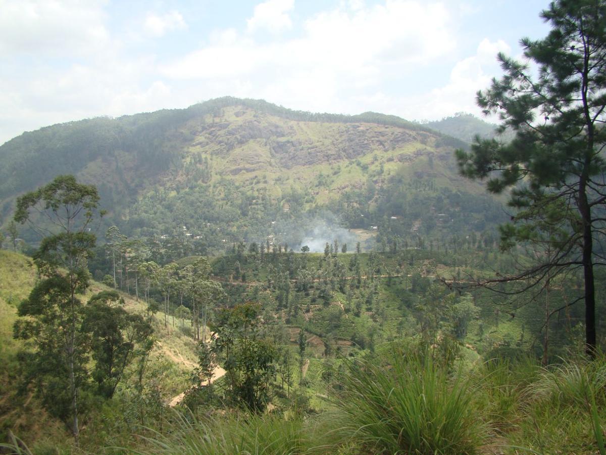 Ella Hotel Upper Hill Buitenkant foto