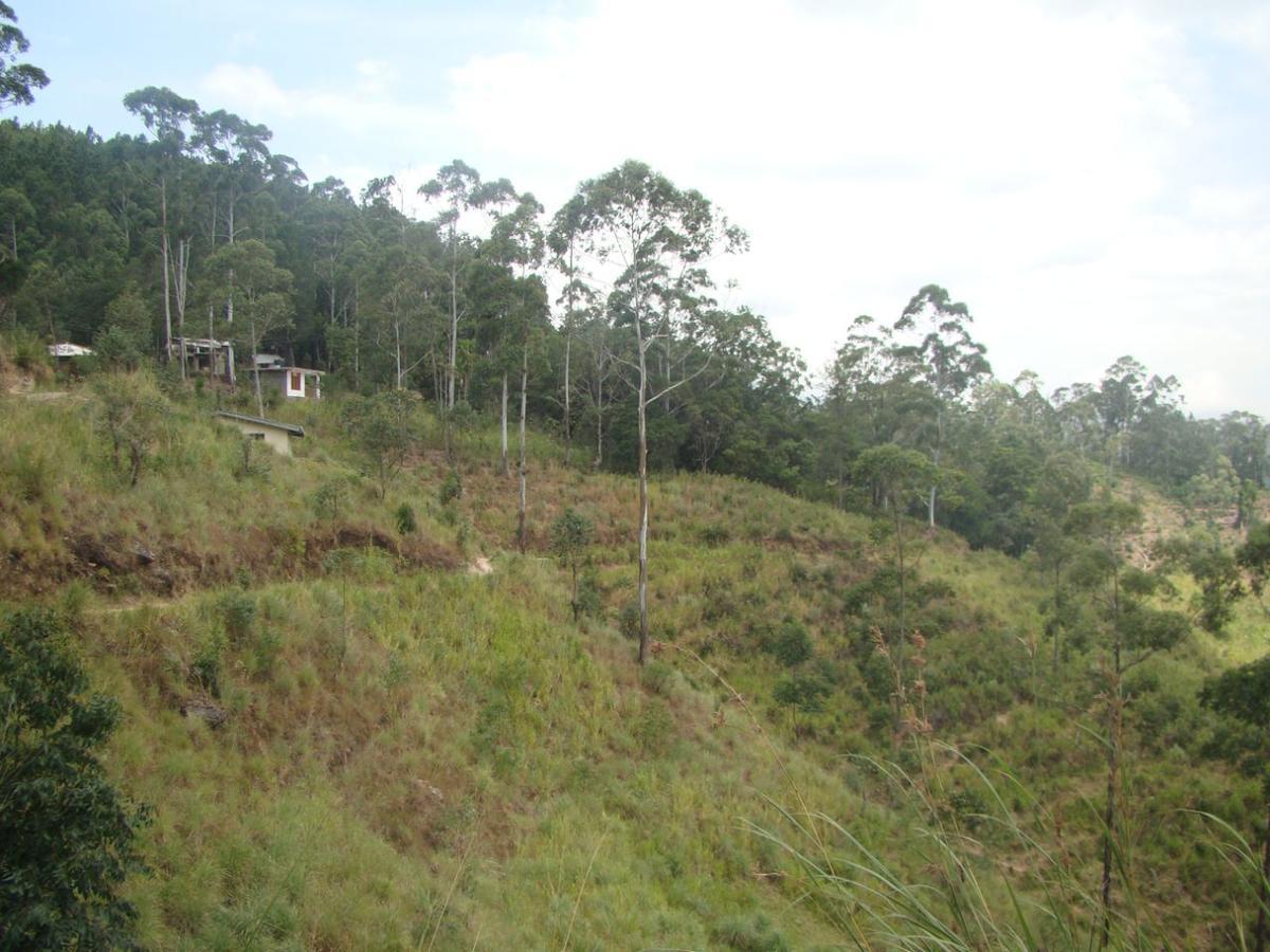 Ella Hotel Upper Hill Buitenkant foto