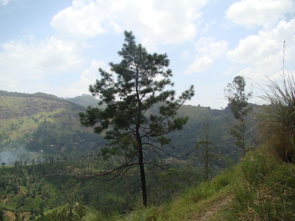 Ella Hotel Upper Hill Buitenkant foto