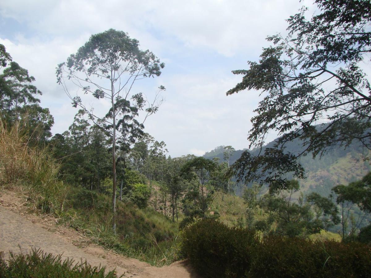 Ella Hotel Upper Hill Buitenkant foto