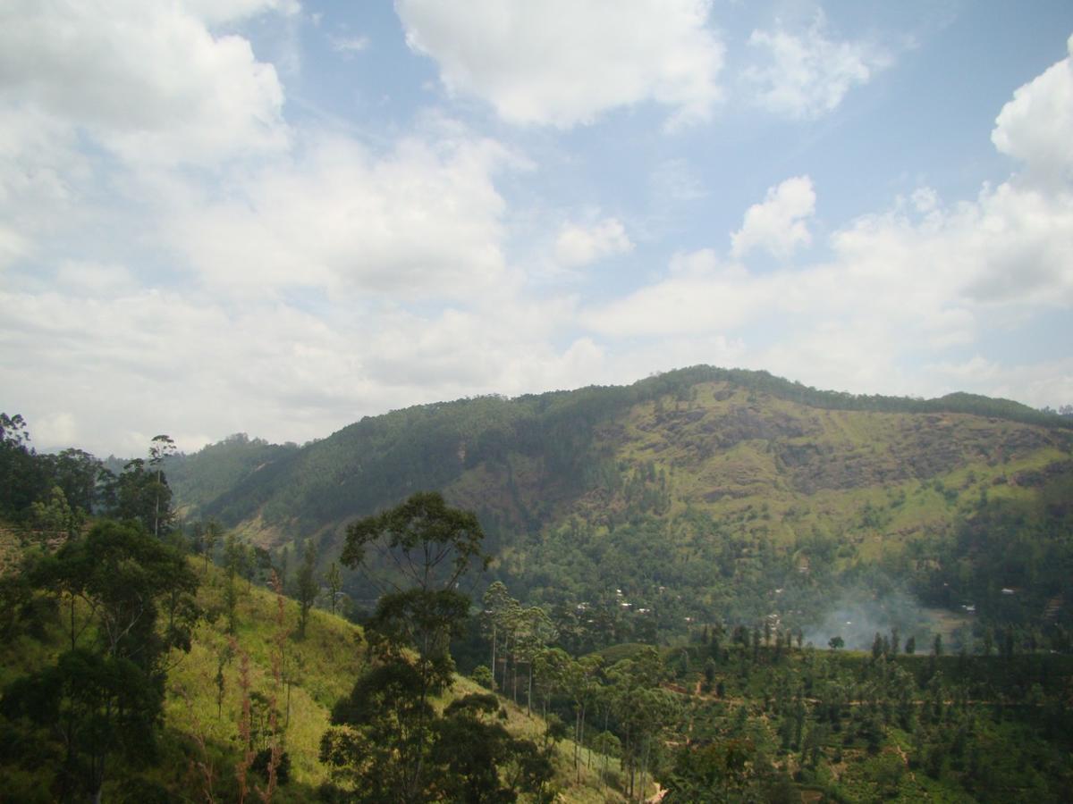 Ella Hotel Upper Hill Buitenkant foto