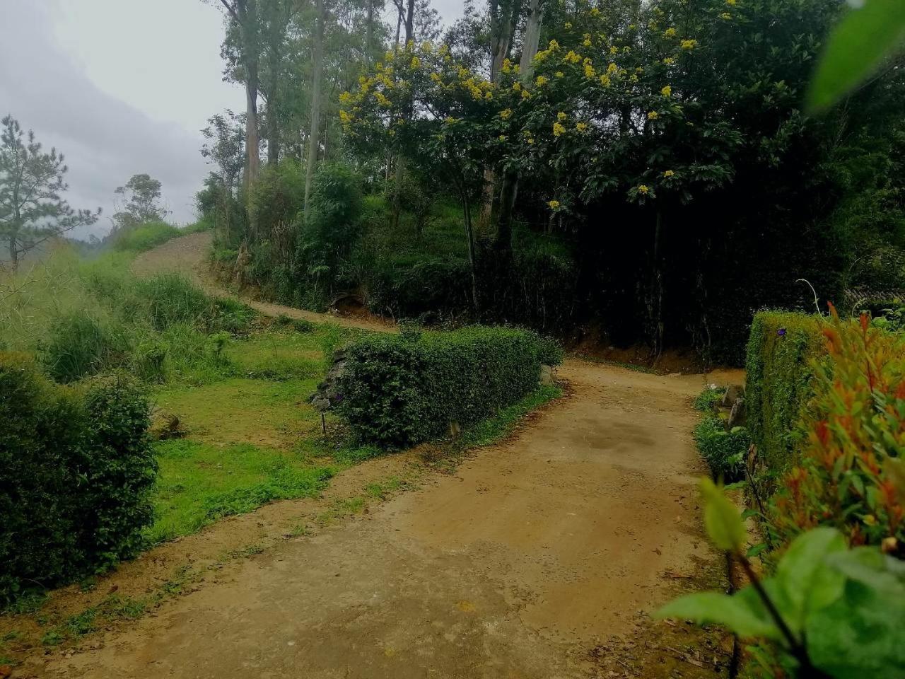 Ella Hotel Upper Hill Buitenkant foto